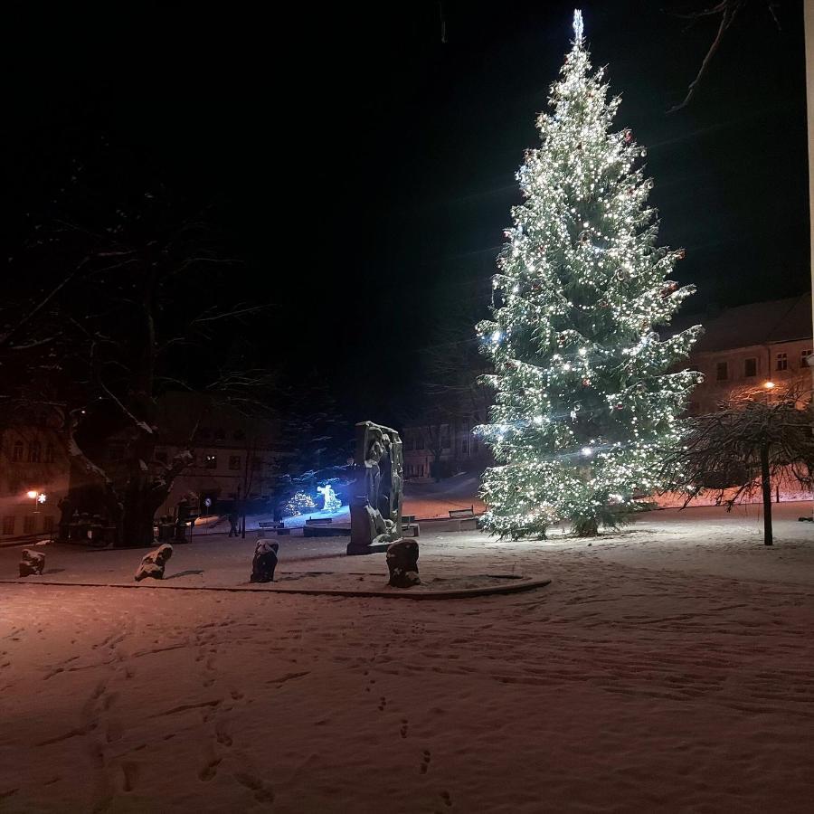 Ferienwohnung U Vahy Jáchymov Exterior foto